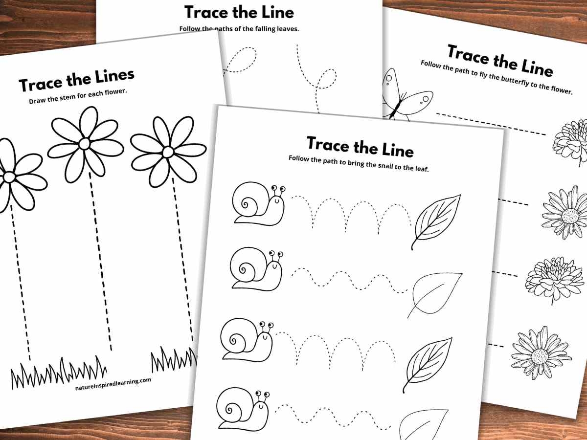 tracing worksheets free printable