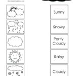 1st Grade Science Worksheets TurtleDiary Worksheets Library