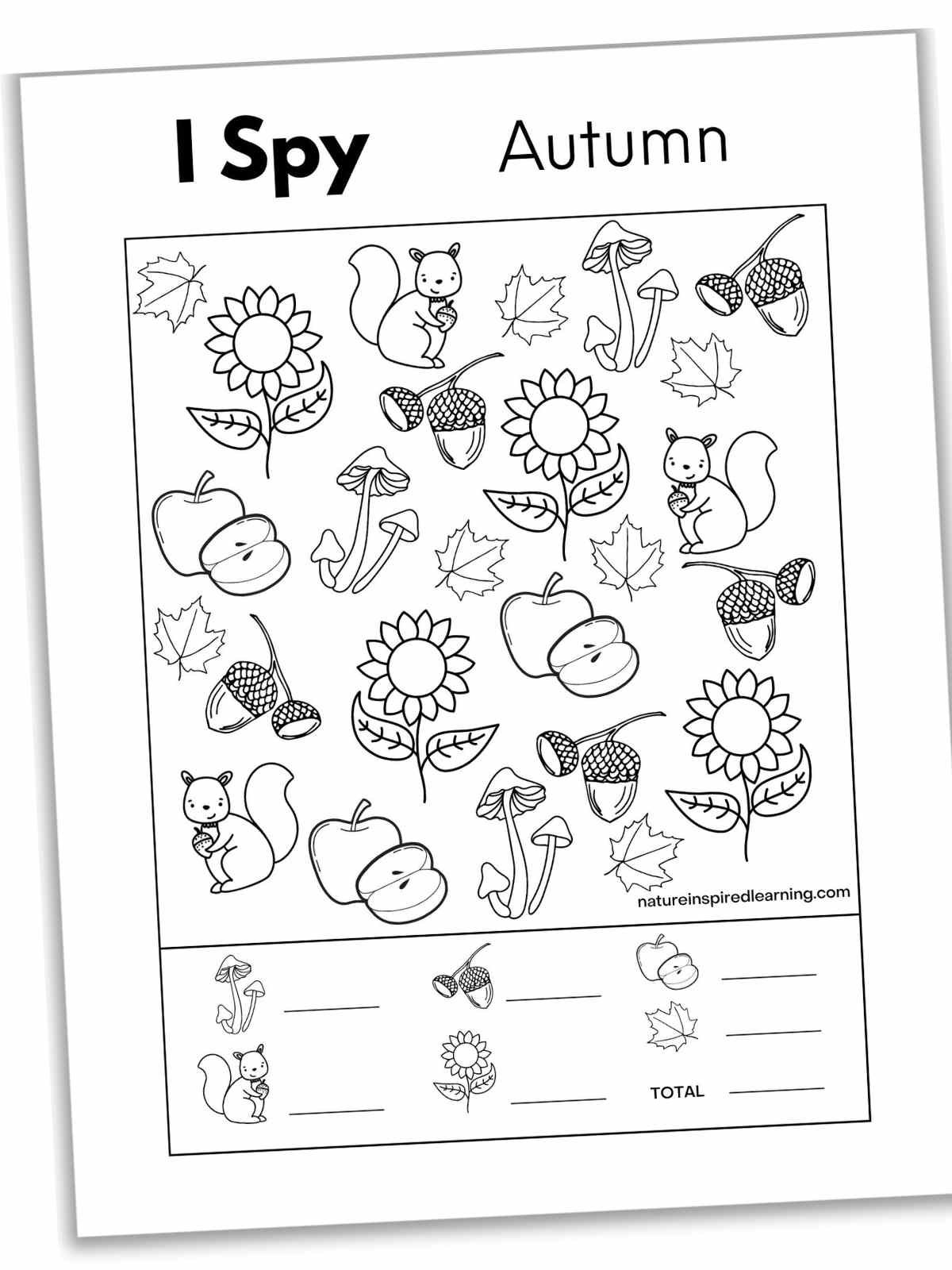 8 Fall I Spy Printables Nature Inspired Learning