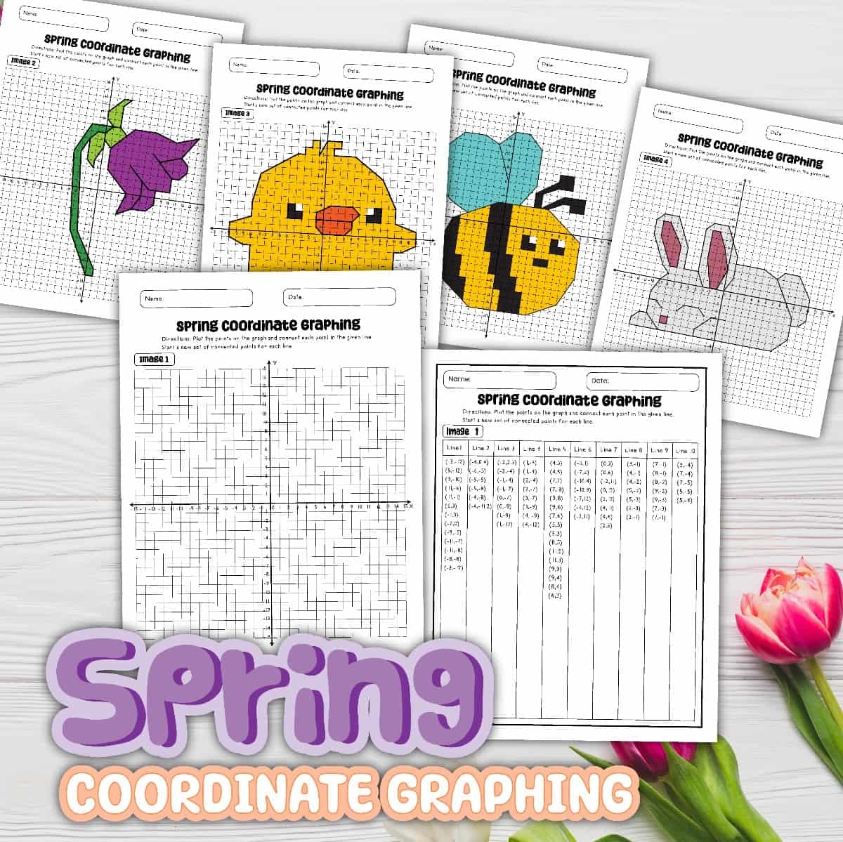 8 Free PDF Coordinate Graphing Picture Worksheets 8 Free PDF Coordinate Graphing Picture Worksheets