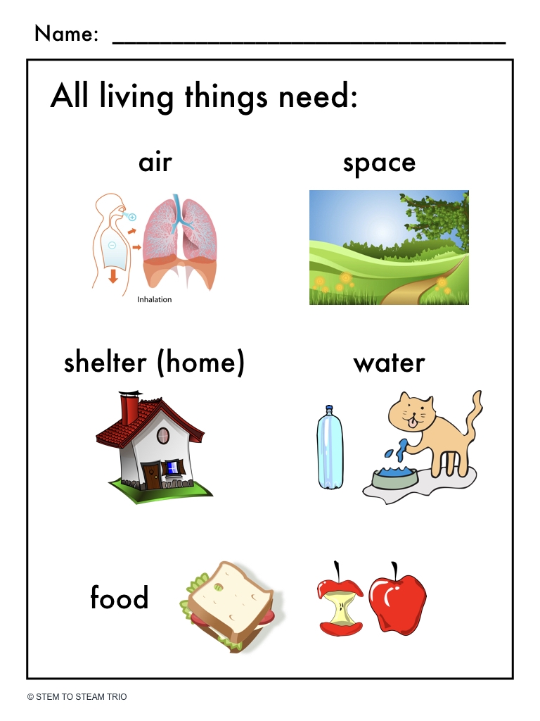 what do animals need to live what do animals need to live