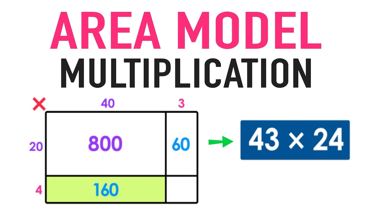 Area Model Of Multiplication
