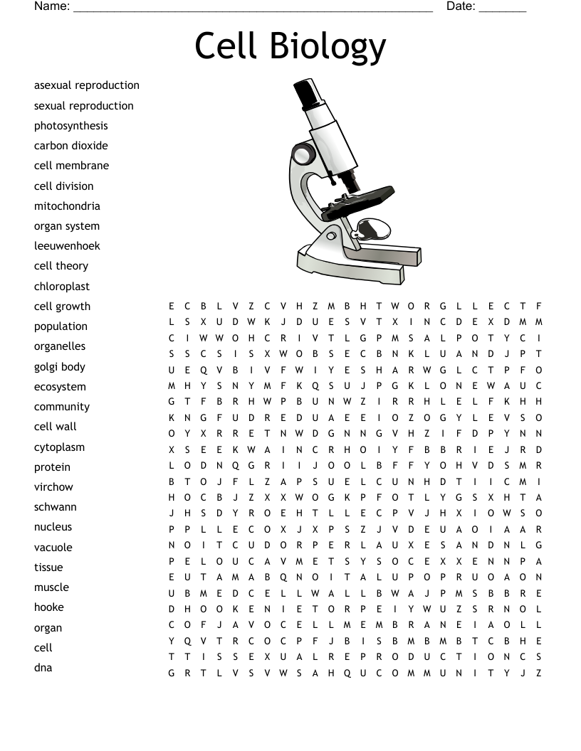 B1 Biology Keywords Word Search WordMint B1 Biology Keywords Word Search WordMint