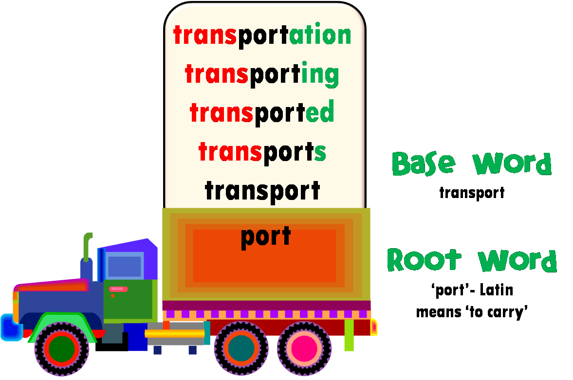 Base Word Vs Root Word