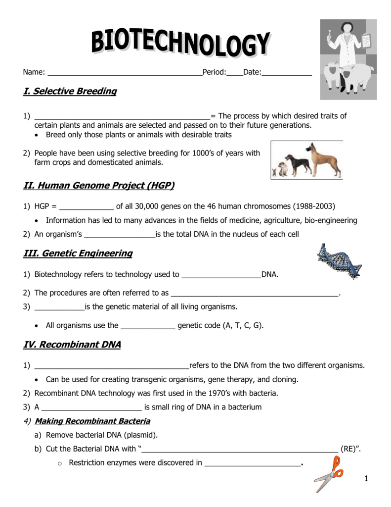 Biotechnology Worksheet Selective Breeding Genetic Engineering Biotechnology Worksheet Selective Breeding Genetic Engineering