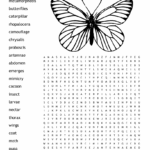Butterflies Word Search WordMint