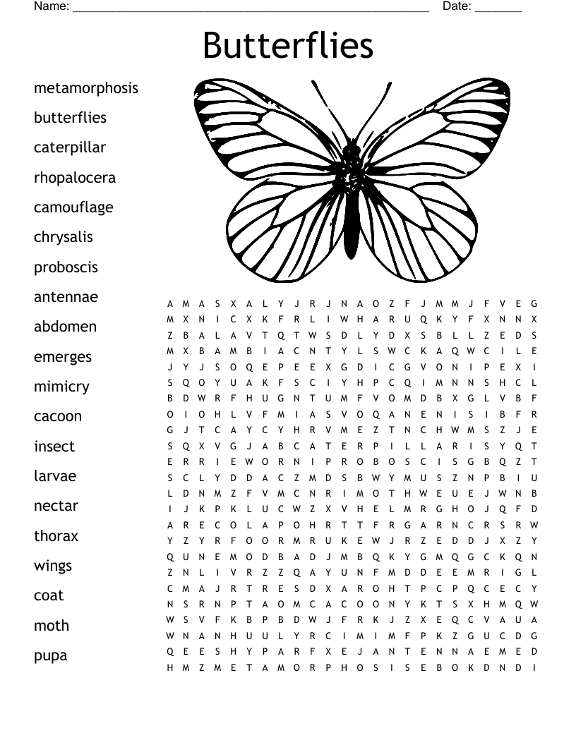Butterfly Word Search