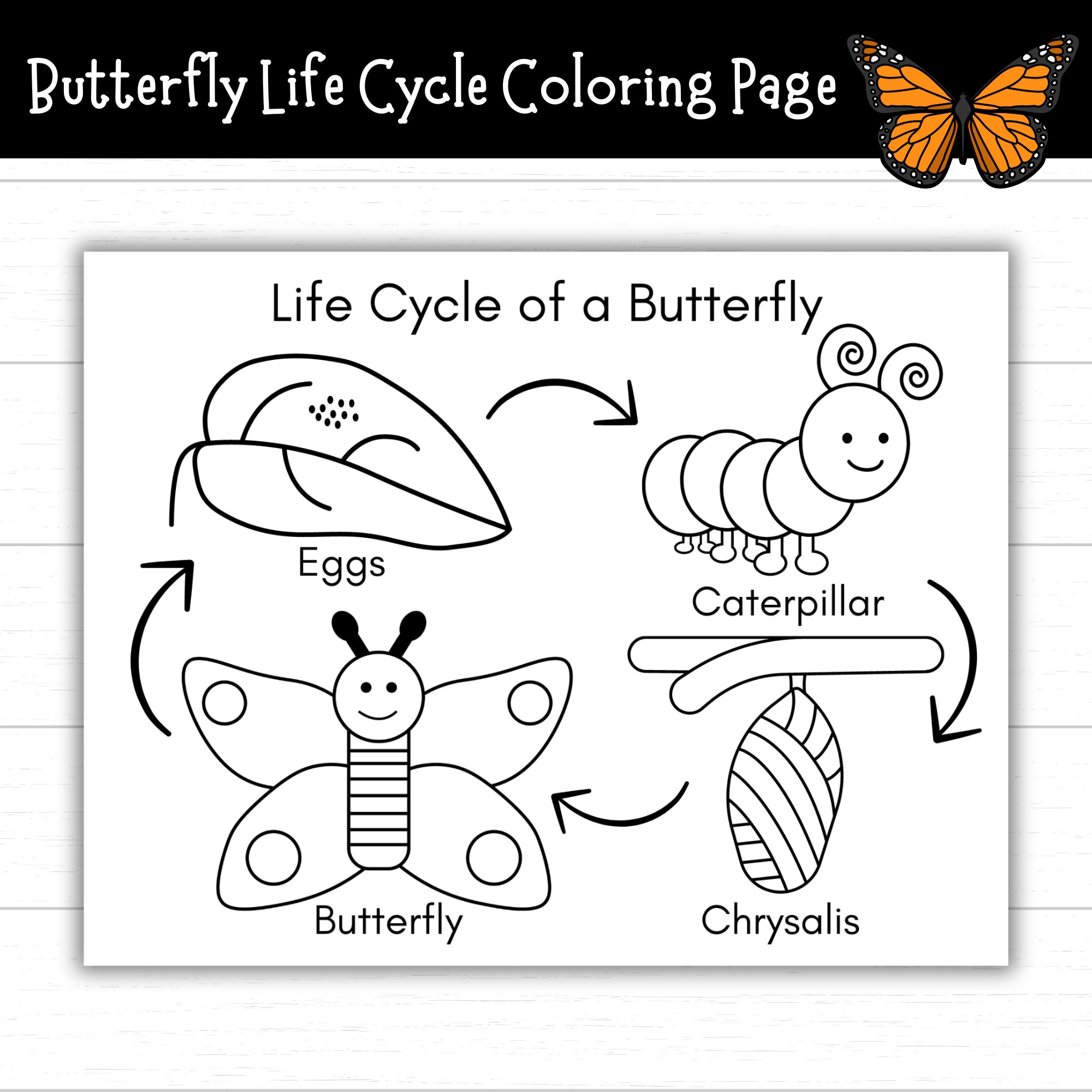 Buy Butterfly Life Cycle Coloring Page Printable Life Cycle Of A Butterfly Activities Life Cycles Butterfly Activities Monarch Online In India Etsy Buy Butterfly Life Cycle Coloring Page Printable Life Cycle Of A Butterfly Activities Life Cycles Butterfly Activities Monarch Online In India Etsy