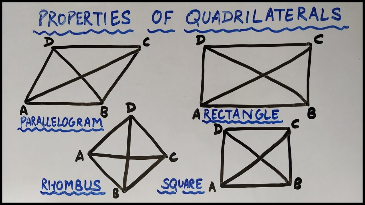 Difference Between Parallelogram Rhombus Rectangle Square Properties Of Quadrilaterals YouTube