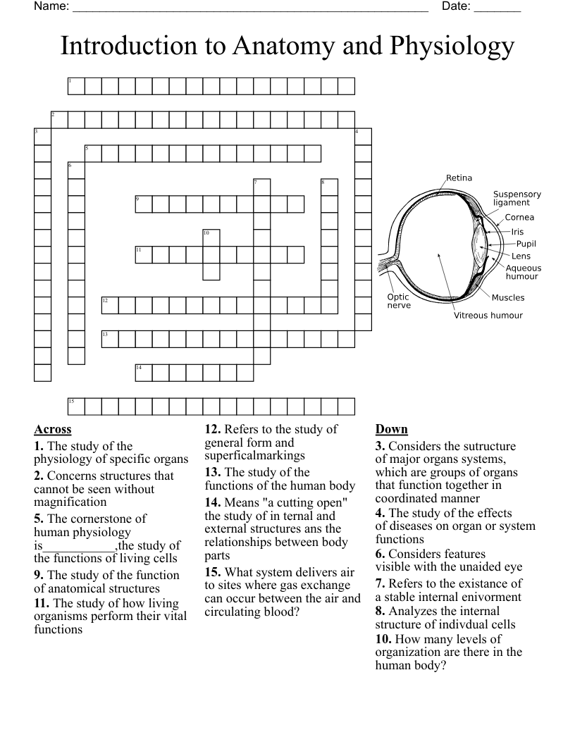 Drones Crossword WordMint