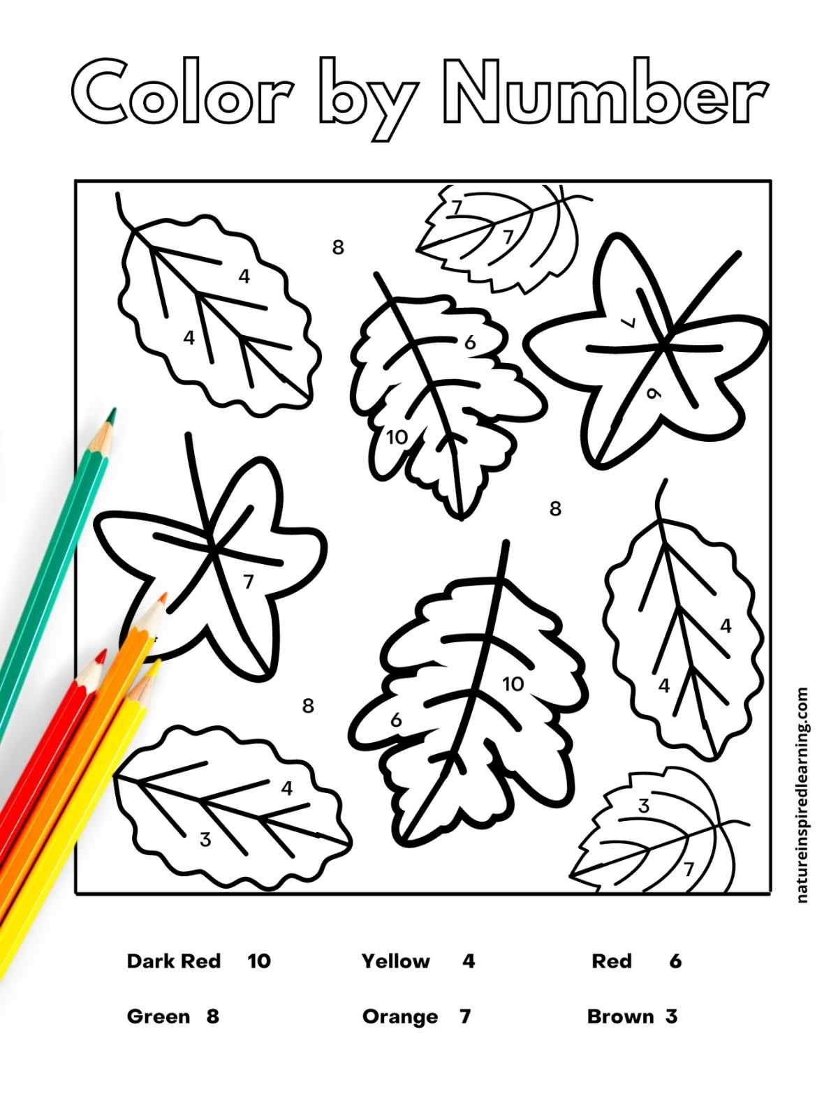fall leaves worksheets printables