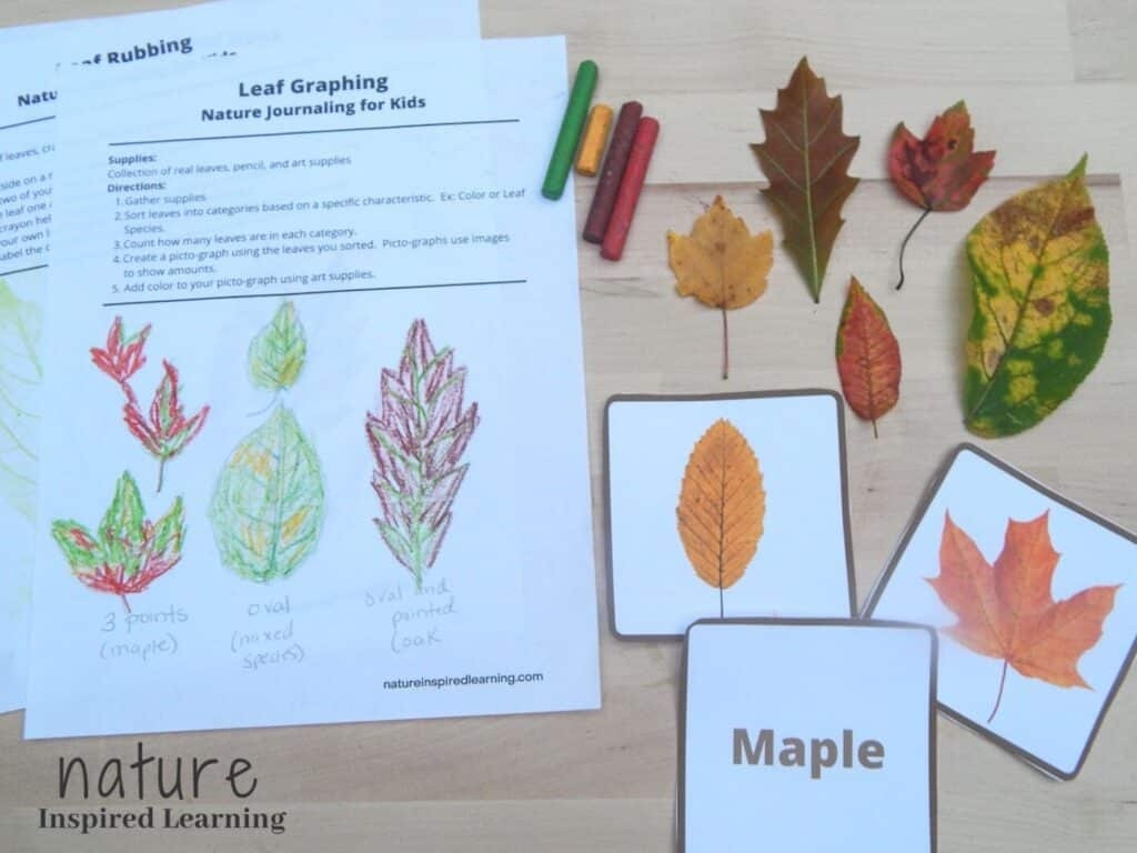 Fall Leaf Printables And Activities For Kids