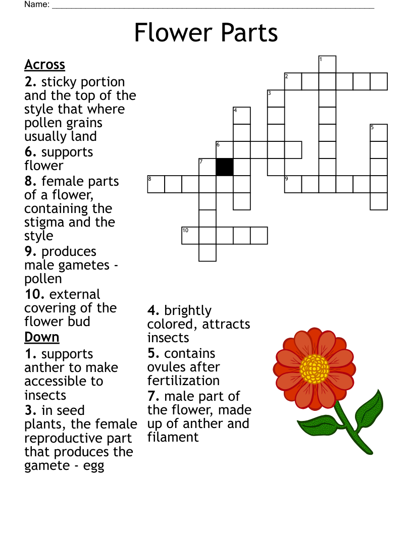 Flower Parts Crossword