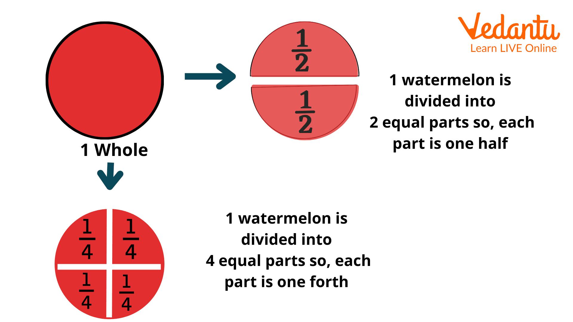 Fractions Halves Thirds And Fourths Explained Easily Fractions Halves Thirds And Fourths Explained Easily