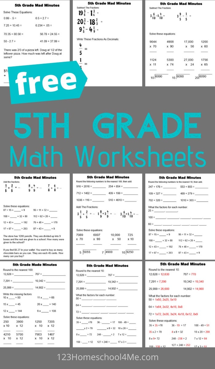 FREE 5th Grade Math Worksheets FREE 5th Grade Math Worksheets