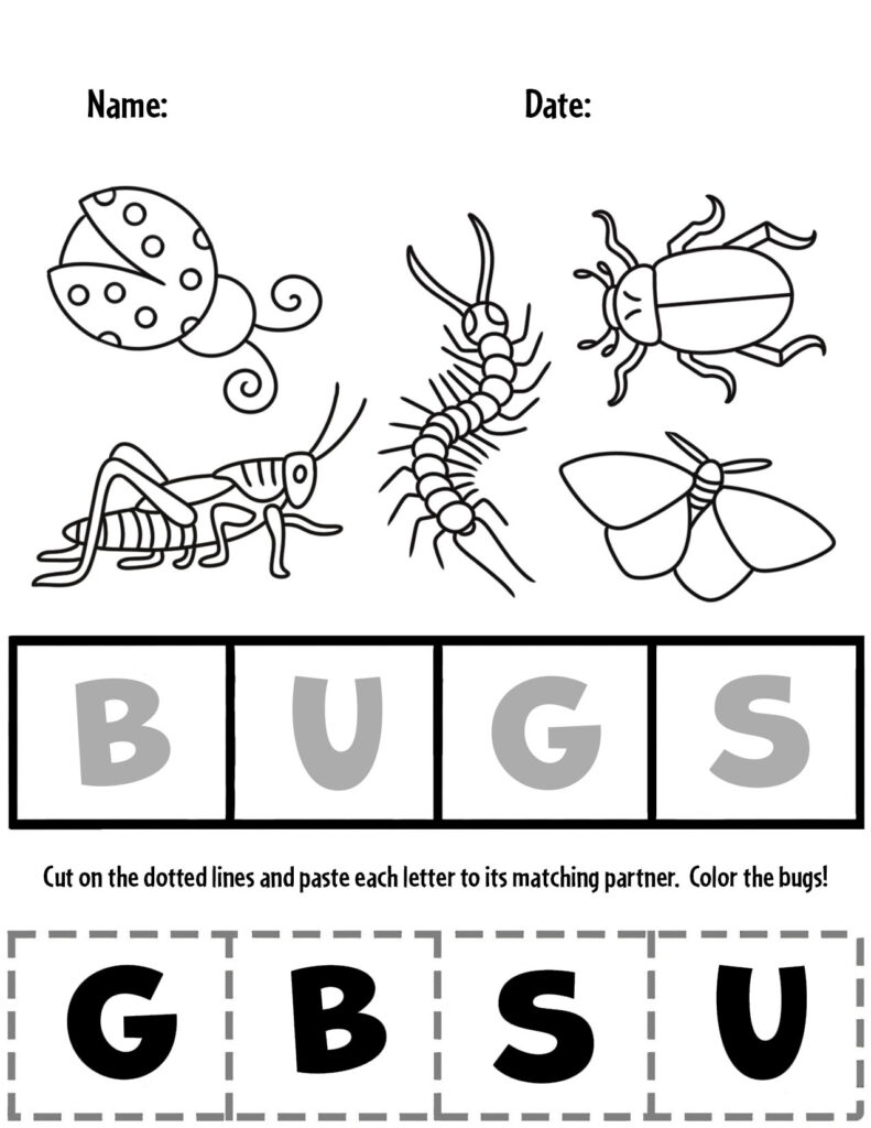 Free Printable Insect Worksheets For Preschoolers