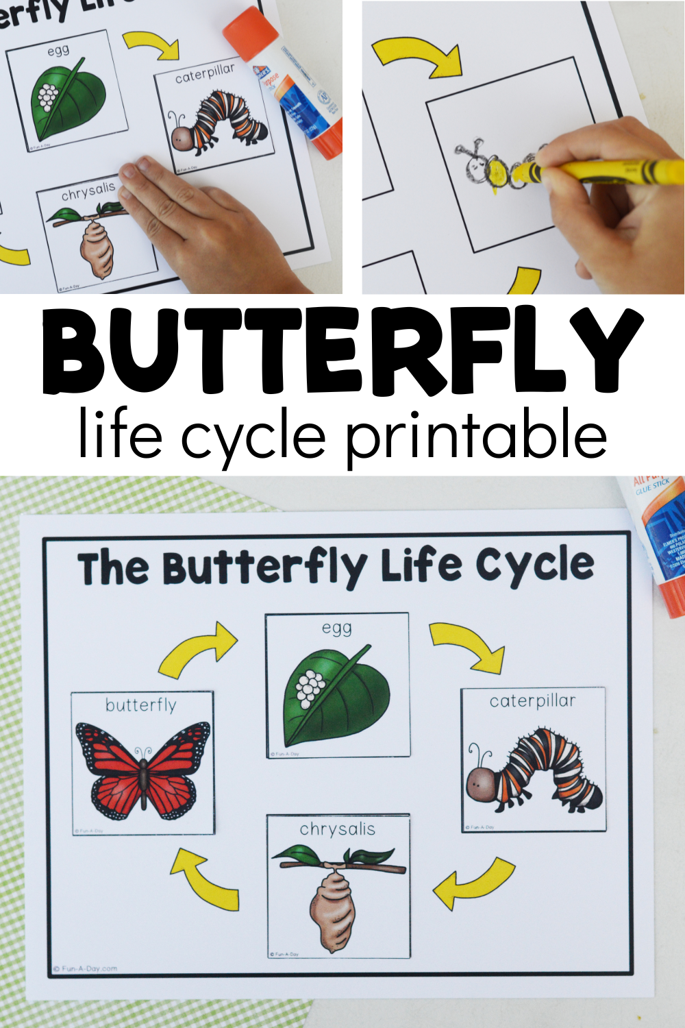 Free Butterfly Life Cycle Printable Fun A Day Free Butterfly Life Cycle Printable Fun A Day