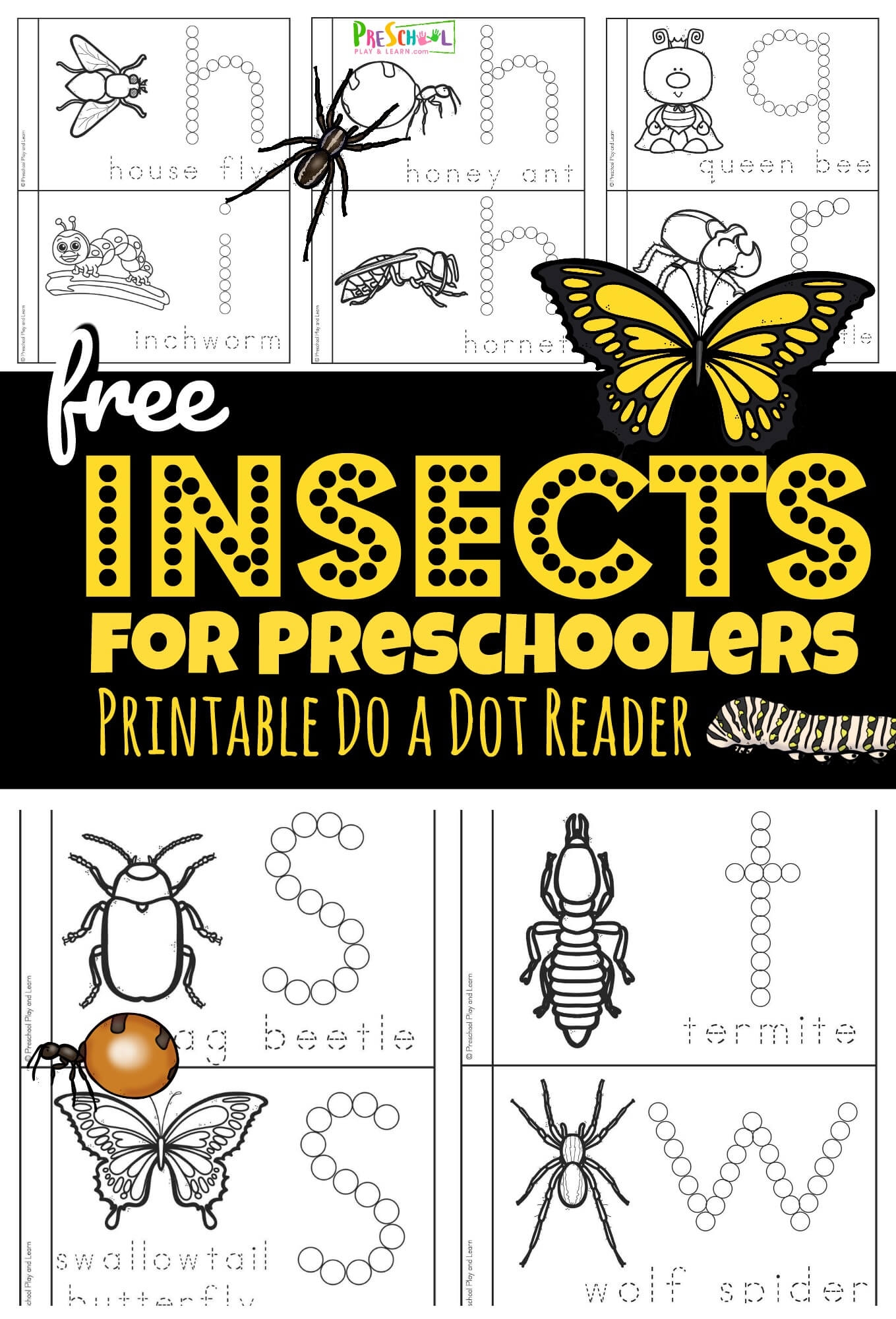 FREE Insects For Preschoolers Printable Book FREE Insects For Preschoolers Printable Book