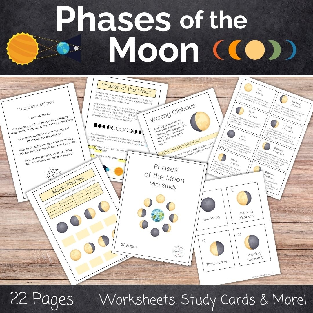 FREE Printable ABeka Style Arithmetic Flash Cards