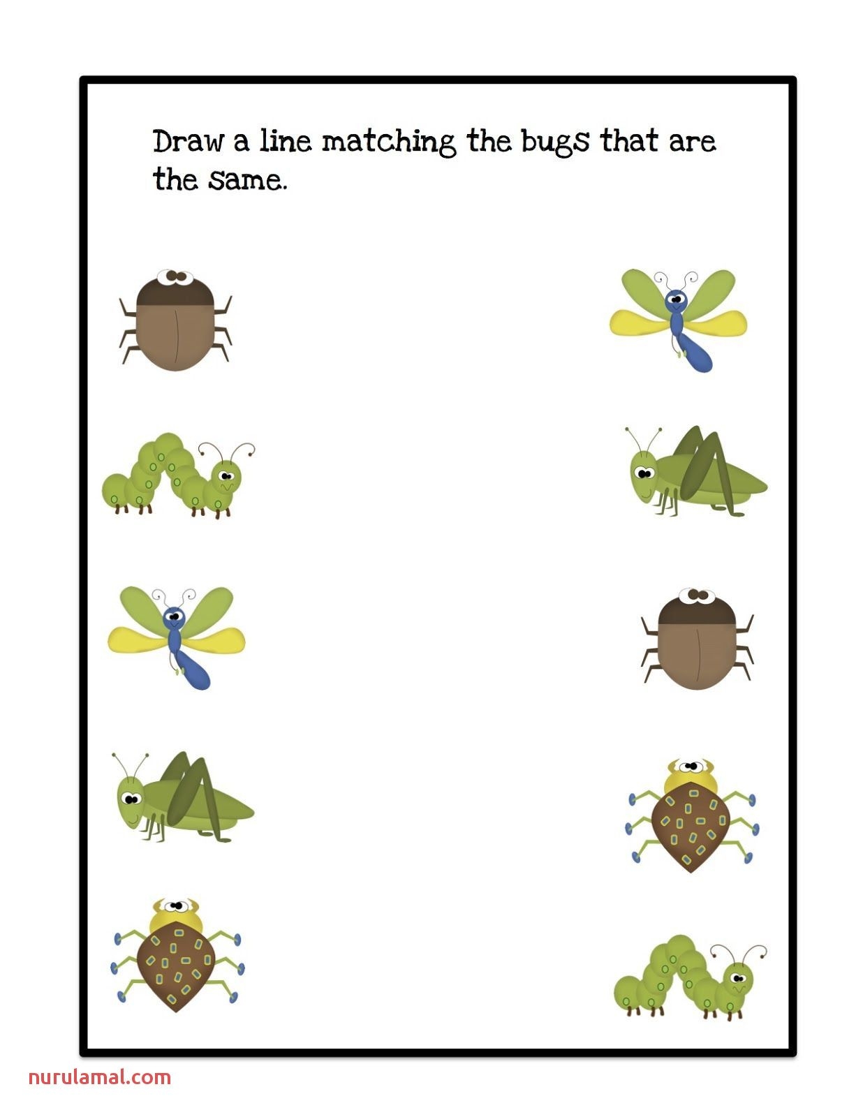 Free Printable Insect Worksheets For Preschool Worksheets Library Free Printable Insect Worksheets For Preschool Worksheets Library