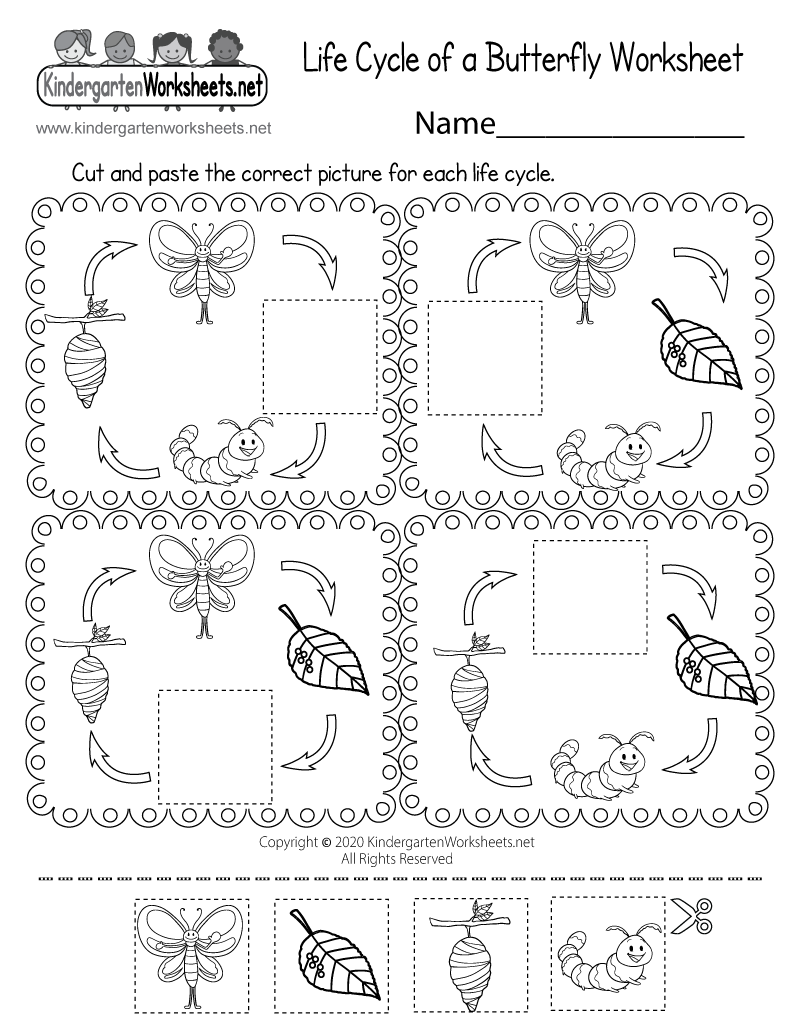Free Printable Life Cycle Of A Butterfly Worksheet Free Printable Life Cycle Of A Butterfly Worksheet