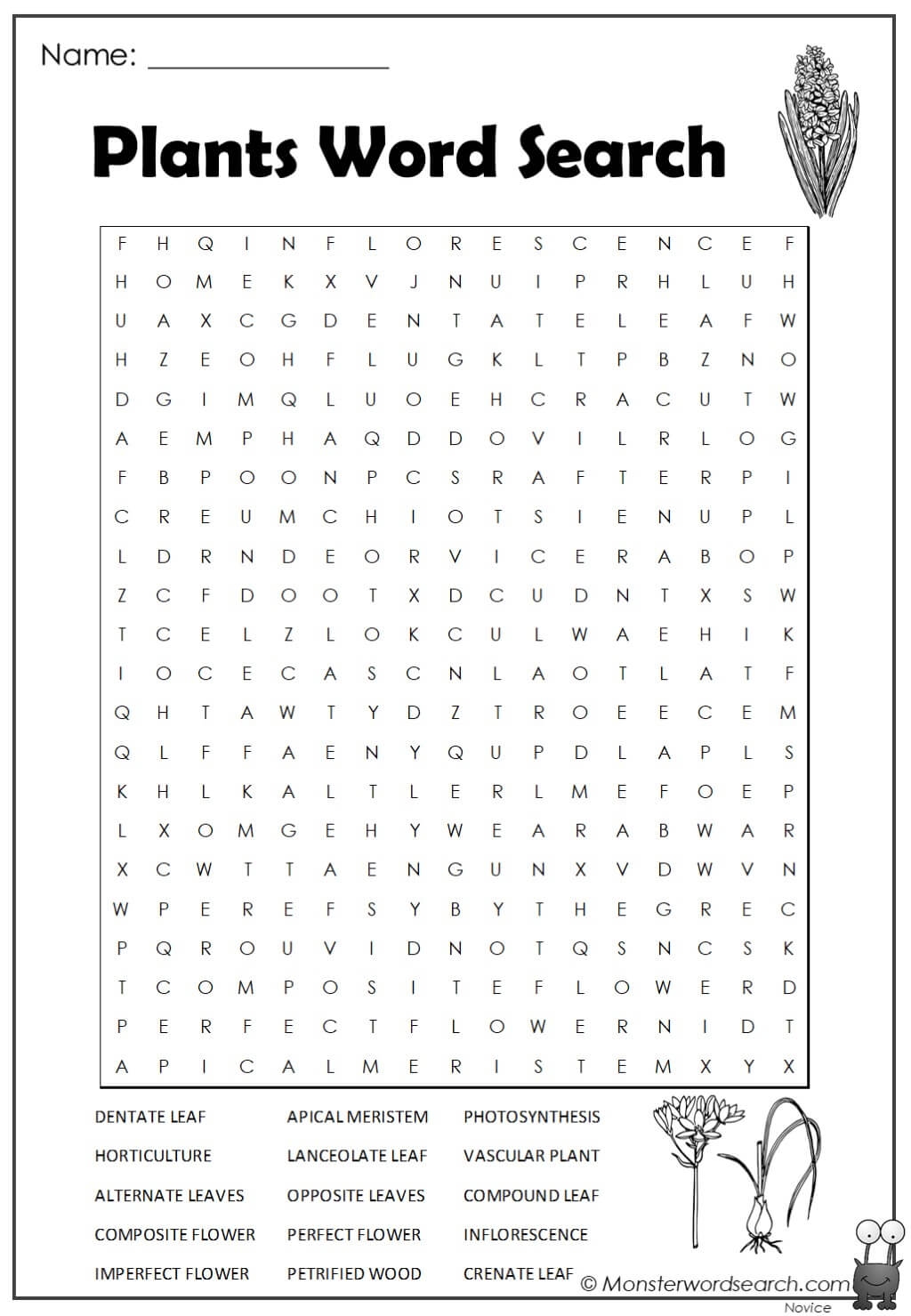 Free Printable Word Search Plants Download Free Printable Word Search Plants Png Images Free Worksheets On Clipart Library