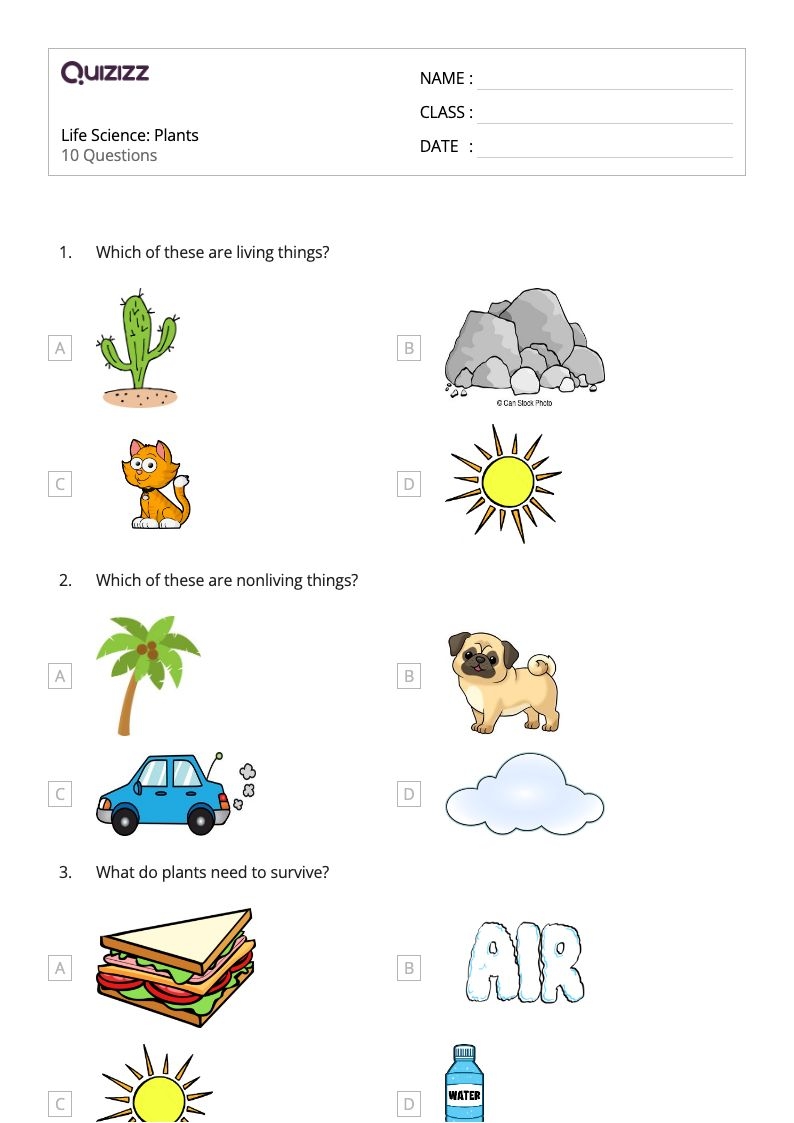 Free Science Worksheet 1st Grade Download Free Science Worksheet 1st Grade Png Images Free Worksheets On Clipart Library Free Science Worksheet 1st Grade Download Free Science Worksheet 1st Grade Png Images Free Worksheets On Clipart Library