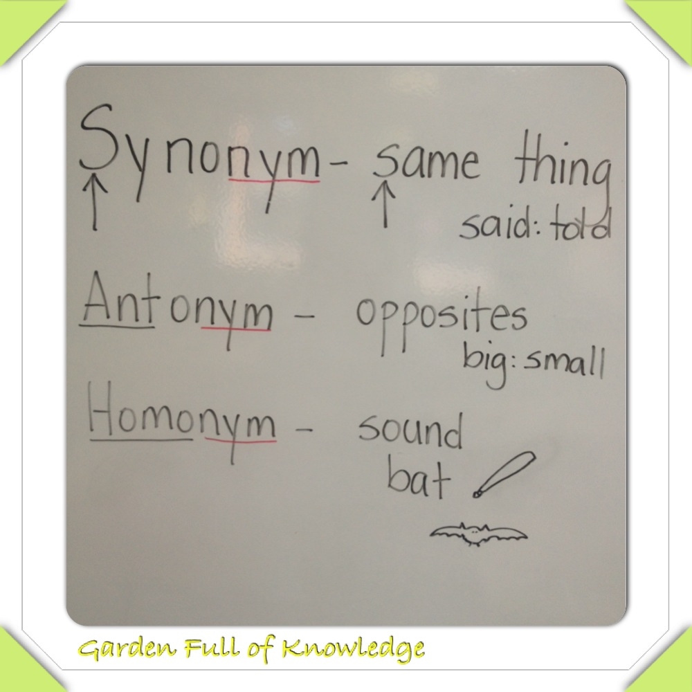 Garden Full Of Knowledge Synonyms Antonyms Homonyms Craftivity