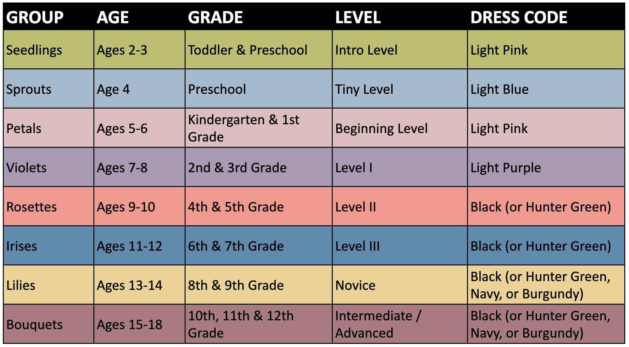 Get Started Bloom Dance Studio