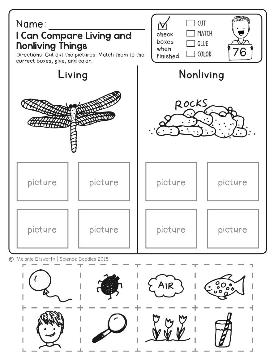 science worksheets for 1st graders science worksheets for 1st graders