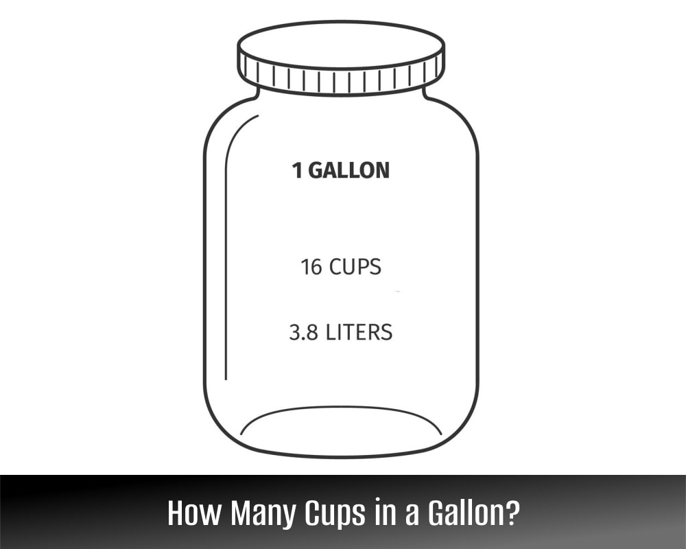 4 Gallons To Cups