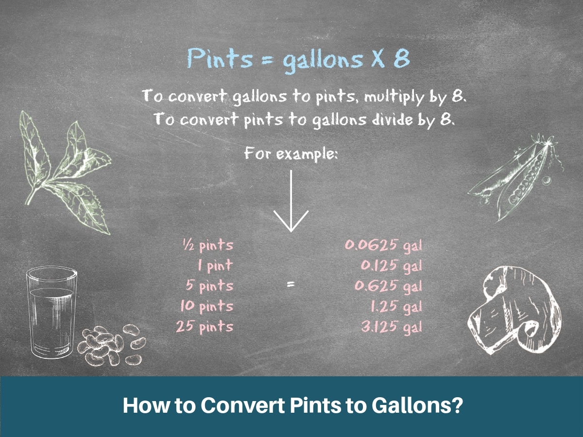 How To Convert Pints To Gallons 