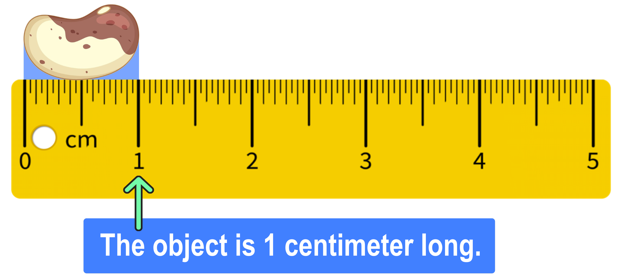 How To Read A Ruler Step by Step With Pictures Mashup Math How To Read A Ruler Step by Step With Pictures Mashup Math
