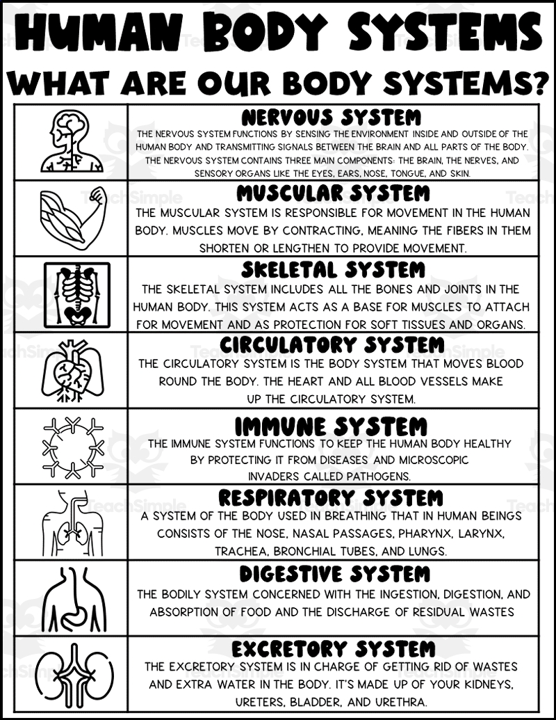 Human Body Systems Printable By Teach Simple Human Body Systems Printable By Teach Simple