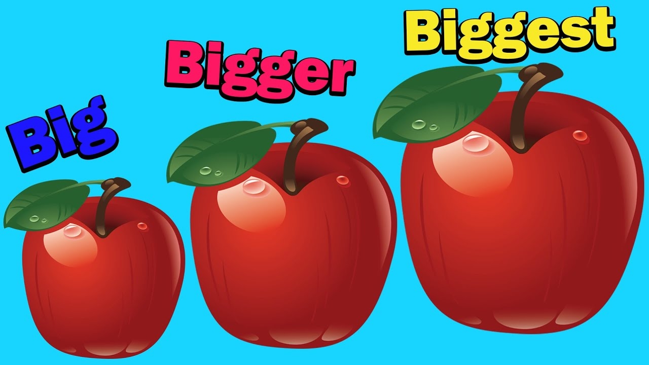 Learn About Different Sizes L Big Bigger Biggest Small Smaller Smallest L Sunflower School YouTube