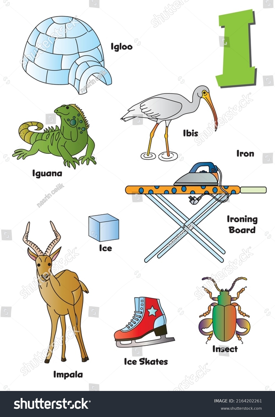 Letter Words Starting Letter Objects Stock Vector Royalty Free 2164202261 Shutterstock Letter Words Starting Letter Objects Stock Vector Royalty Free 2164202261 Shutterstock