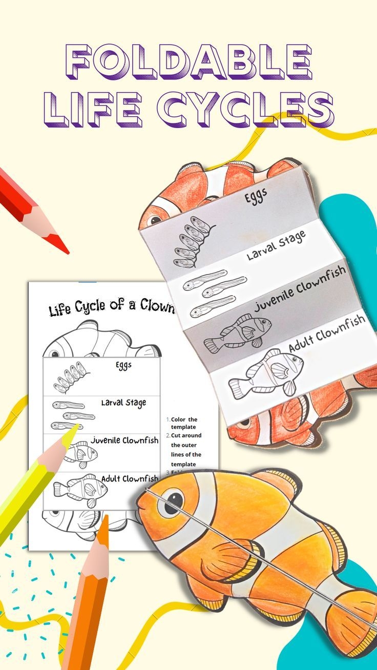 clownfish parts worksheet clownfish parts worksheet