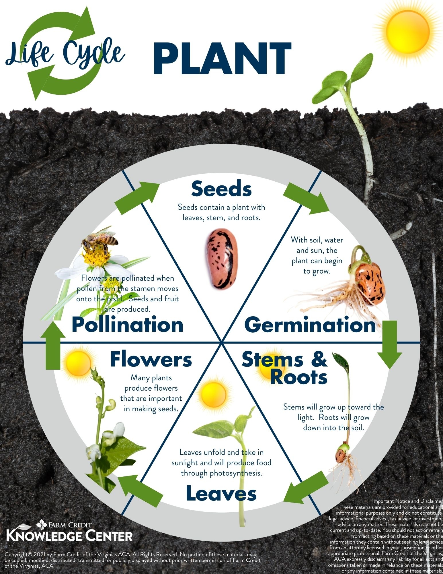 Life Cycle Of A Plant Farm Credit Of The Virginias Life Cycle Of A Plant Farm Credit Of The Virginias