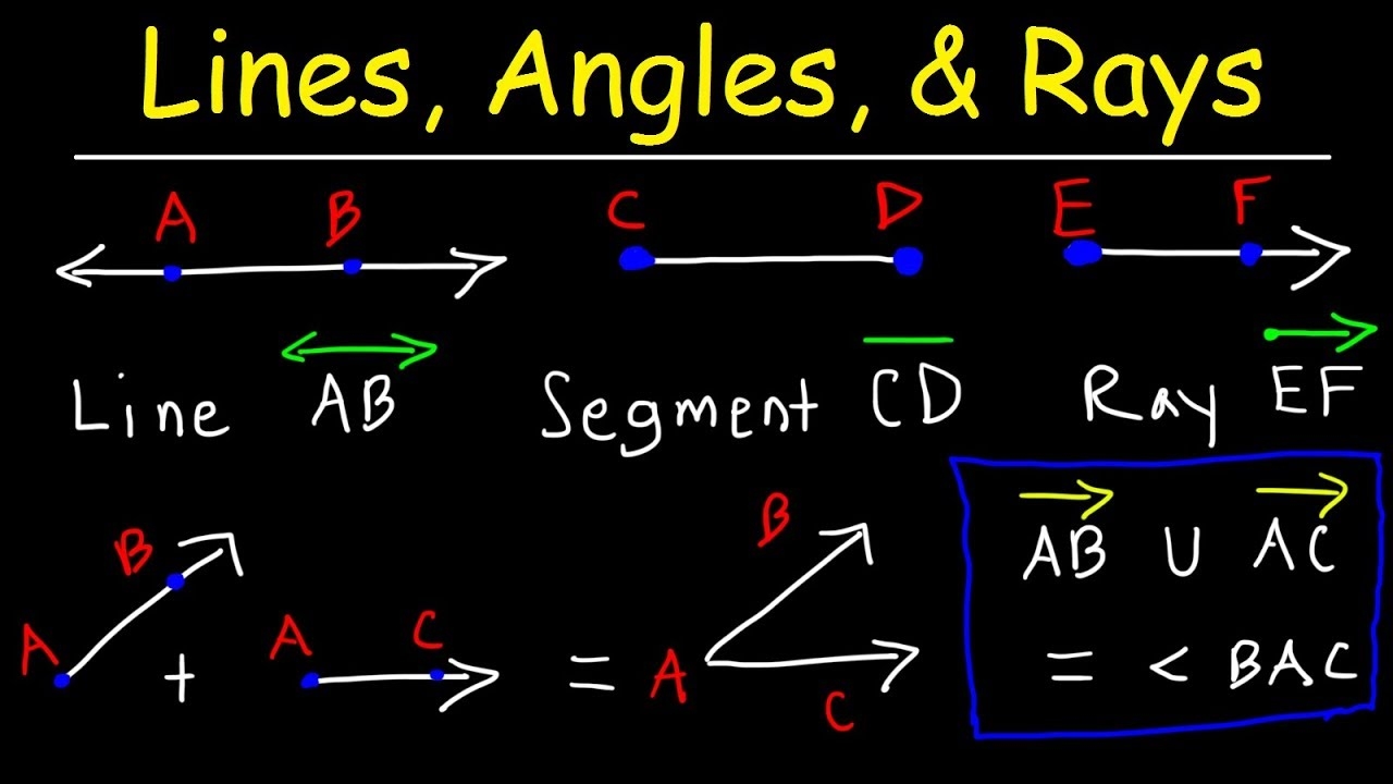 Rays Lines And Angles