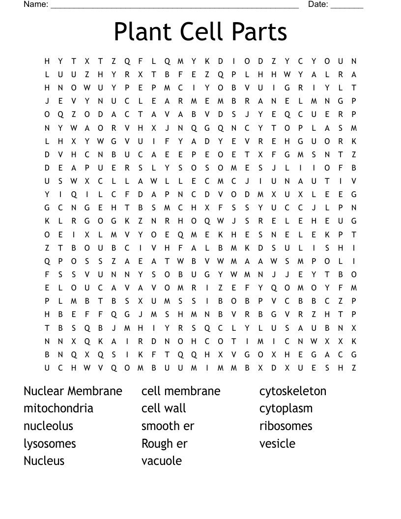Plant Cell Parts Word Search WordMint