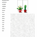 Plants Word Search WordMint