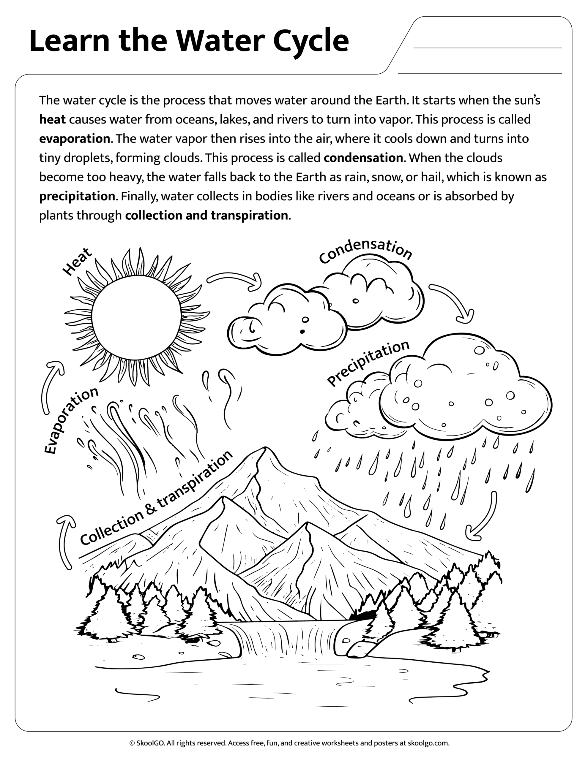 Printable Water Cycle Worksheet For Kids SKOOLGO