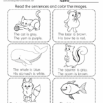 Read And Color Worksheet Free Printable Digital PDF