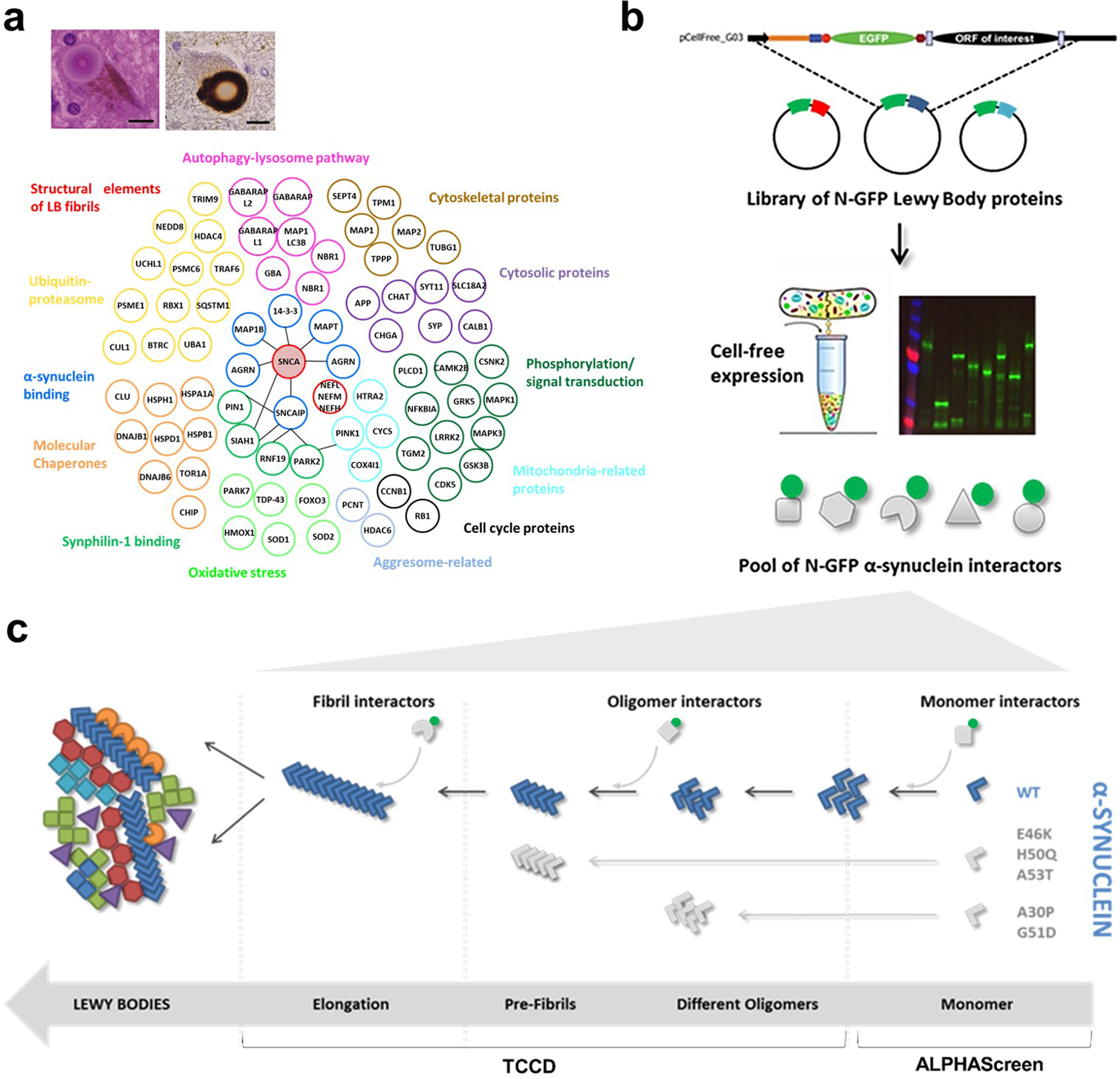 activity 3-3 reading a scale activity 3-3 reading a scale