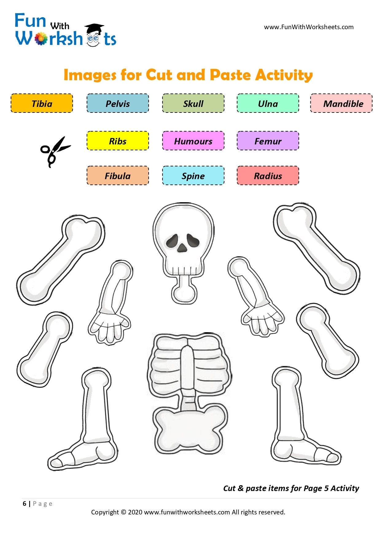 Skeleton Anatomy Activity Printable Human Bones Lesson Moving Skeleton Craft Anatomy Game Homeschool Printable Human Science Study Etsy Canada Skeleton Anatomy Activity Printable Human Bones Lesson Moving Skeleton Craft Anatomy Game Homeschool Printable Human Science Study Etsy Canada