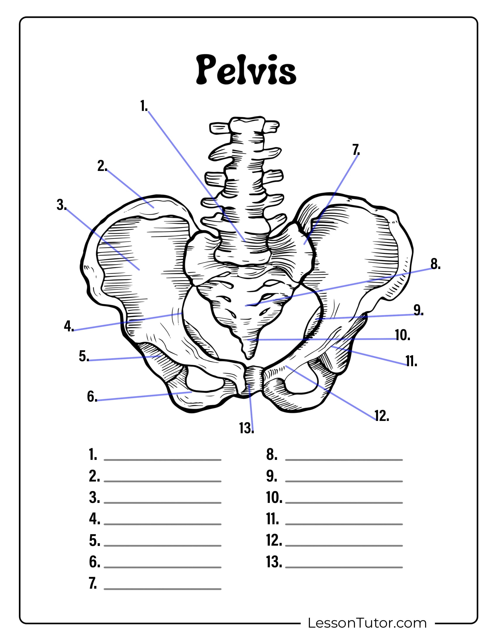 free printable anatomy worksheets pdf free printable anatomy worksheets pdf