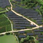 Solar Panel Teas Passage Sustainable Tea Farming With Agrivoltaics