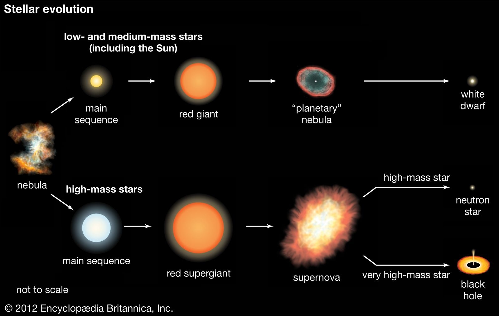Star Formation Evolution Lifecycle Britannica Star Formation Evolution Lifecycle Britannica