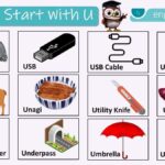 Things That Start With U Complete 520 English Words List
