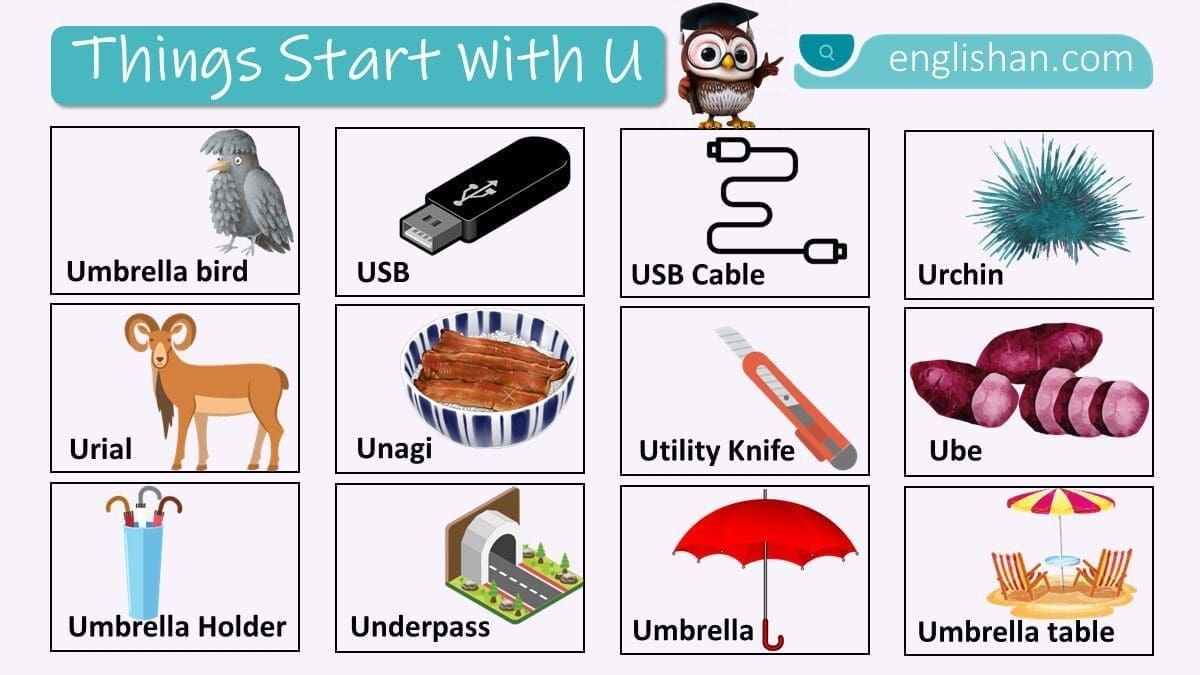 Science Words Starting With U